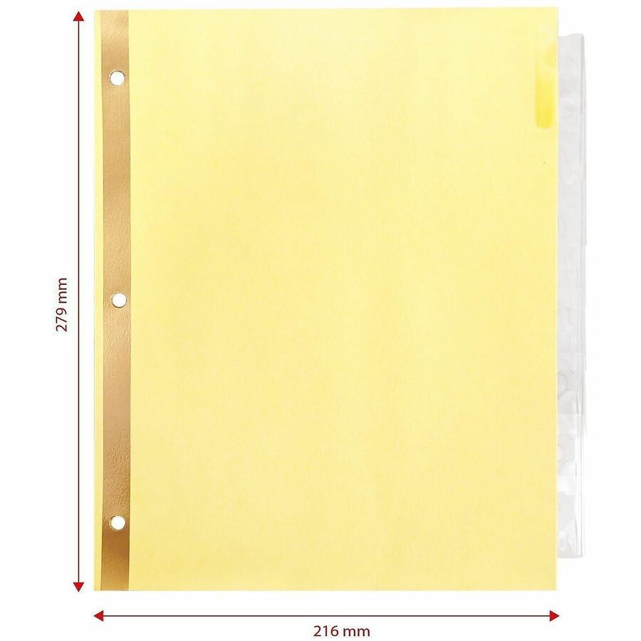 Business Source Insertable Tab Indexes - 8 Blank Tab(s) - 8.5" Divider Width x 11" Divider Length - Letter - 3 Hole Punched - Clear Tab(s) - Punched, Reinforced Edges, Mylar Reinforcement, Tear Resistant, Insertable -