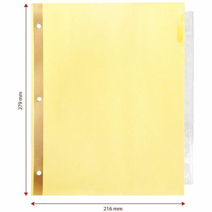 Business Source Insertable Tab Indexes - 8 Blank Tab(s) - 8.5" Divider Width x 11" Divider Length - Letter - 3 Hole Punched - Clear Tab(s) - Punched, Reinforced Edges, Mylar Reinforcement, Tear Resistant, Insertable -